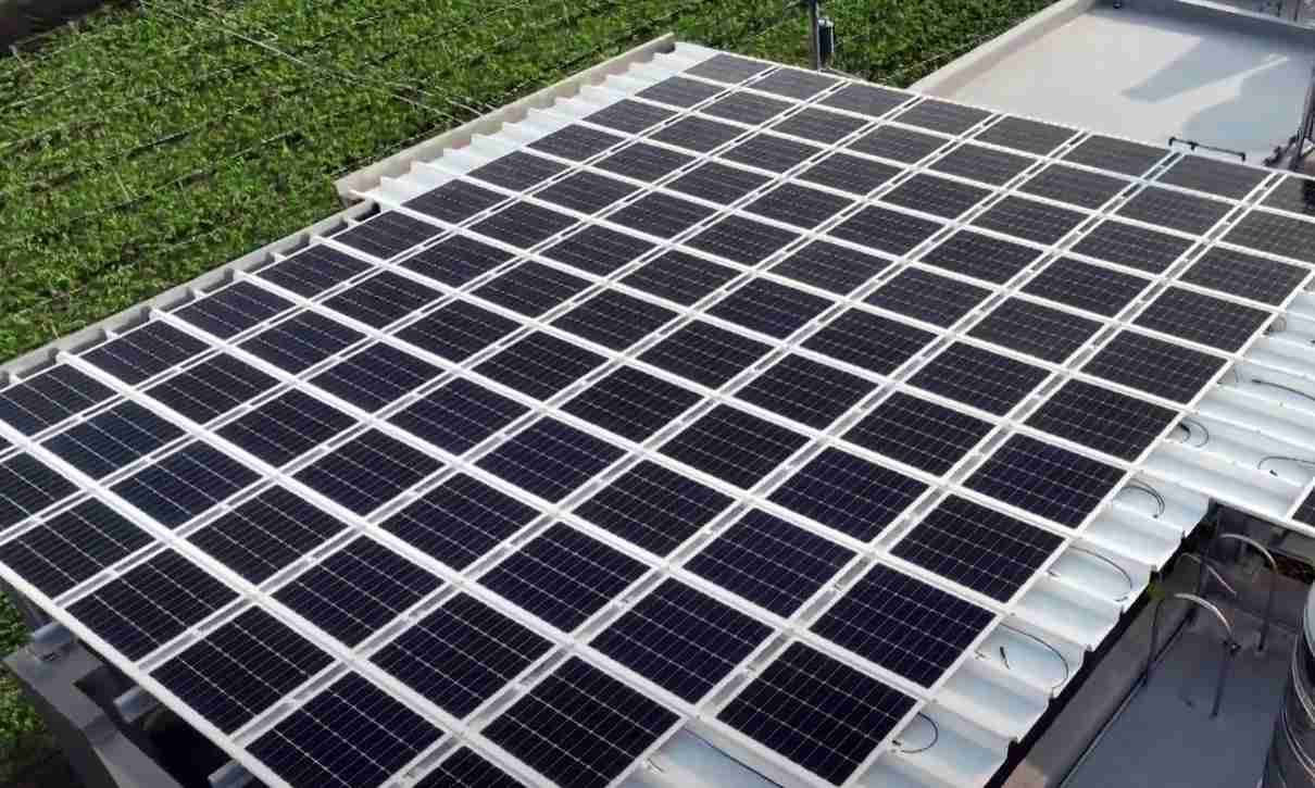 优游UB8SunSteel光电浪板升级双玻结构，，，以提升机械负载强度及气候耐候度，，可广泛运用于多元场域